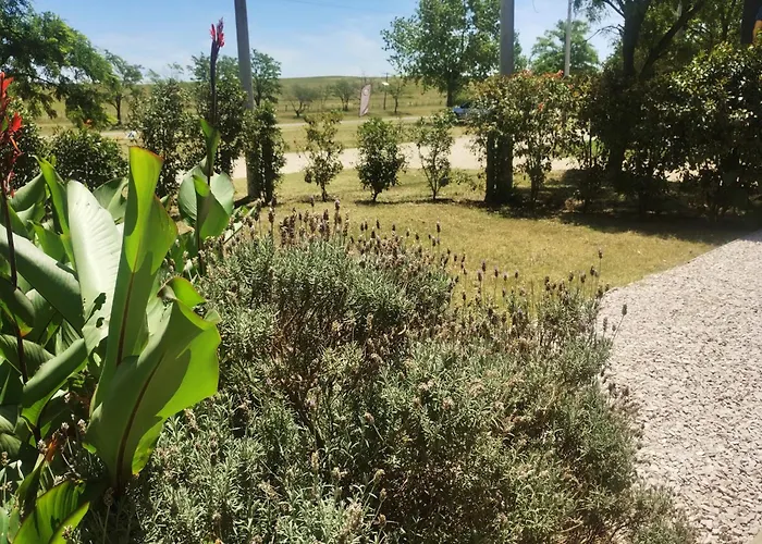 Alfonsina Holiday Home
