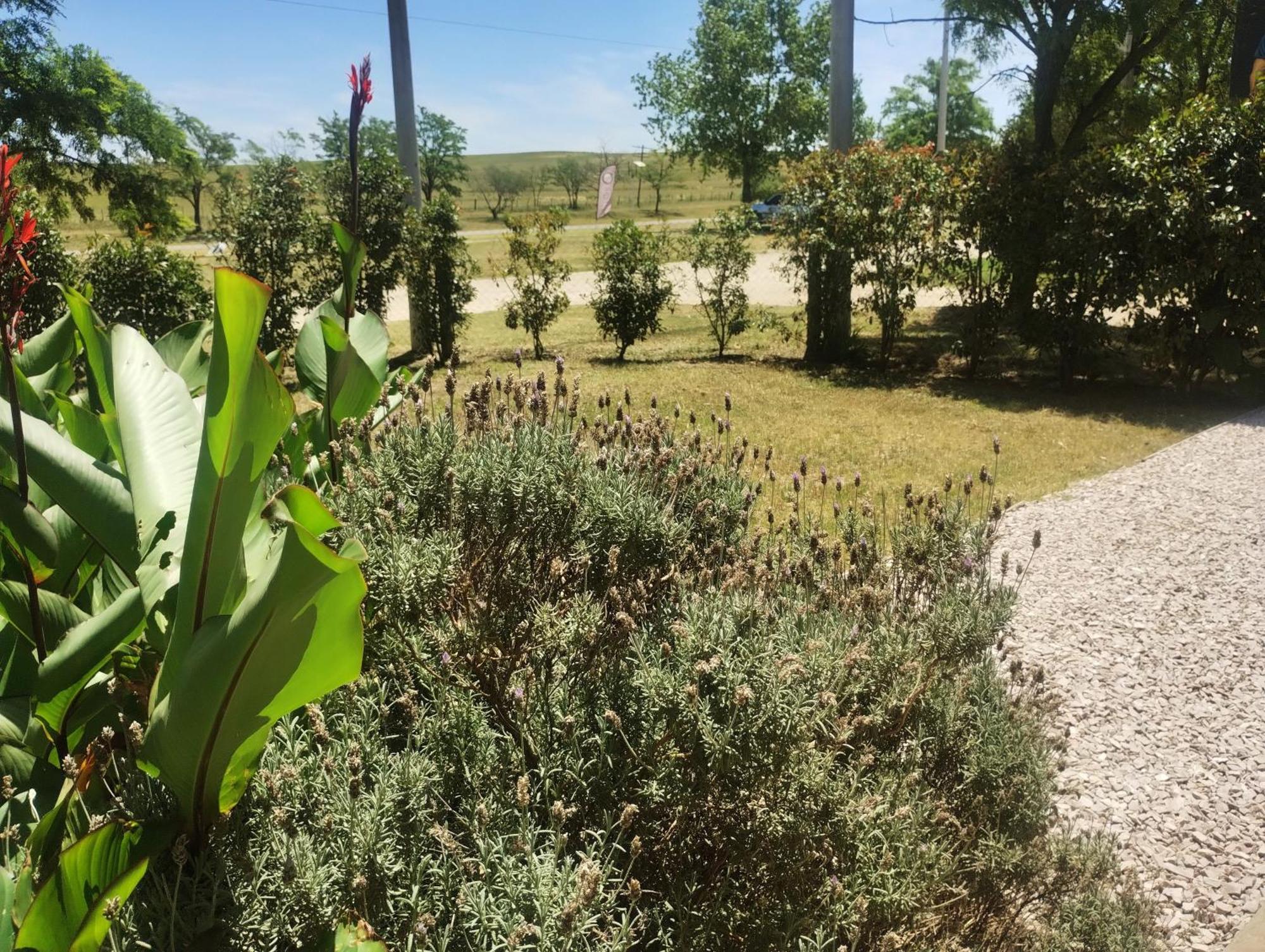 Holiday home Alfonsina Sierra de la Ventana