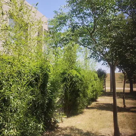 Alfonsina Holiday Home Sierra de la Ventana Exterior photo